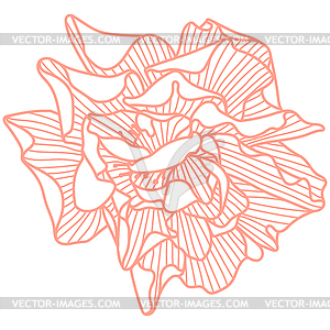 Delicate rose - vector clipart