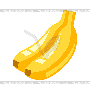 Stylized bananas - vector clipart