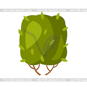 Green bush in spring - vector image