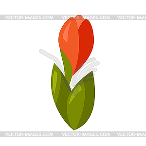 Young red flower - vector clipart