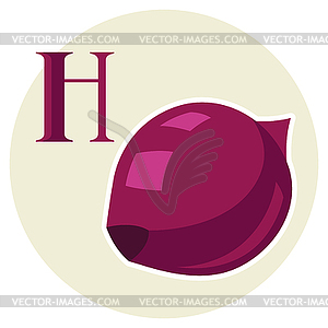 Stylized onion - vector image