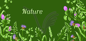 Background with herbs and cereal grass - vector clip art