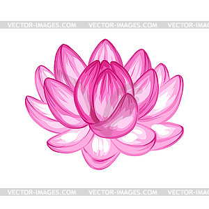 Lotus flower - vector image