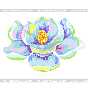 Tropical magnolia flower - vector image