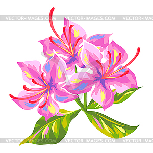 Tropical azalea flower - vector image