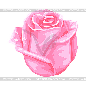 Blooming rose flower - vector clipart