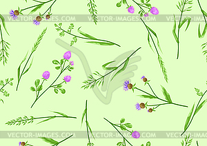 Seamless pattern with herbs and cereal grass - vector image