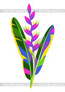 Tropical heliconia flower - vector image