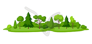 Background with trees, spruces and bushes. - vector image