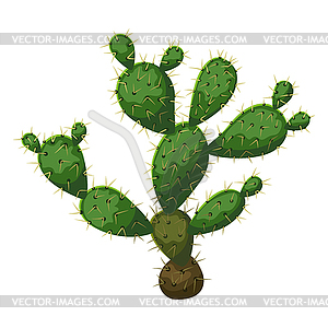 Cactus. Decorative spiky mexican cacti - vector clip art