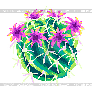 Cactus. Decorative spiky mexican cacti - vector clipart