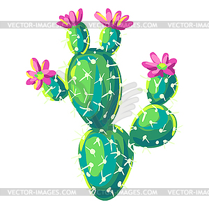 Cactus. Decorative spiky mexican cacti - color vector clipart