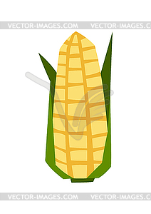 Ripe corn cob. Agricultural stylized plant - vector image