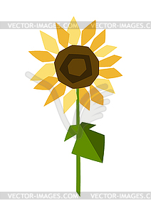 Ripe sunflower. Agricultural stylized plant - vector image