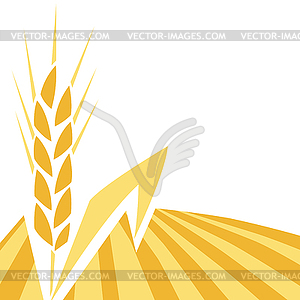 Background with wheat. Agricultural golden ear of - vector clipart