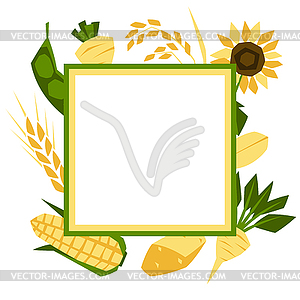 Background with agricultural crops. Harvesting - vector clipart