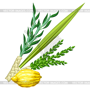 Happy Sukkot traditional symbols. Four species - vector clipart