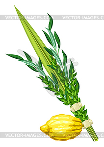 Happy Sukkot traditional symbols. Four species - vector clipart