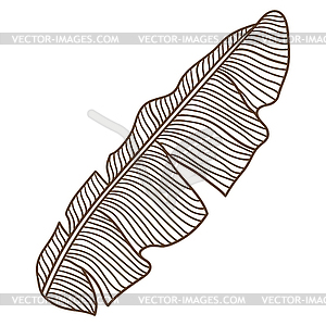 Stylized banana palm leaf. Decorative tropical - vector image