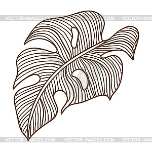 Stylized monstera palm leaf. Decorative tropical - vector image