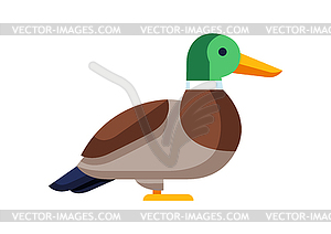 Stylized duck. wild bird in simple style - vector image