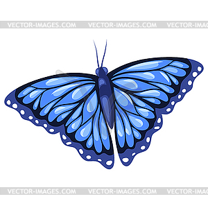 Blue beautiful butterfly. Stylized insect - vector image