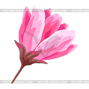 Beautiful sakura or cherry bud. Floral japanese - vector image