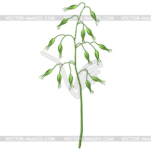 Stylized cereal grass. Decorative meadow plant. Twi - vector clipart