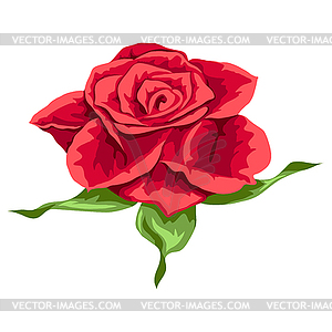 Beautiful realistic rose. Bud for design and - vector image