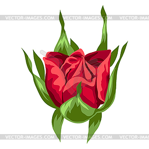 Beautiful realistic rose. Bud for design and - vector clip art