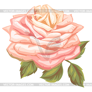 Beautiful realistic rose. Bud for design and - vector EPS clipart
