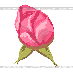 Beautiful realistic rose. Bud for design and - stock vector clipart