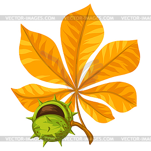 Stylized leaf with chestnut. Decorative autumn plant - vector EPS clipart