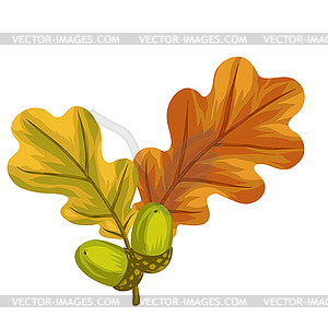 Stylized oak leaves with acorns. Decorative autumn - vector image