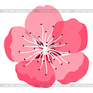 Beautiful sakura or cherry bud. Floral japanese - vector clipart