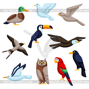 Set of stylized birds. wild birds in simple style - vector image