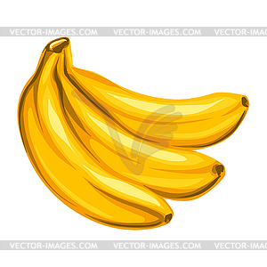 Stylized bananas. Image for design or decoration - vector clip art