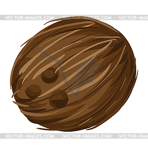 Stylized coconut. Image for design or decoration - vector image