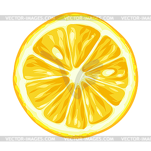 Stylized lemon. Image for design or decoration - vector clip art