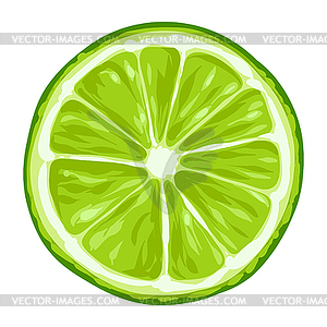 Stylized lime. Image for design or decoration - vector image