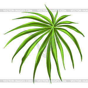 Stylized palm branch. Image for design or decoration - vector image