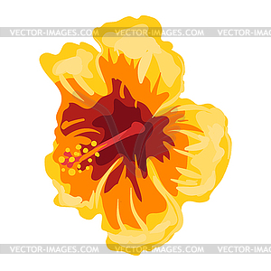 Stylized hibiscus flower. Image for design or - vector clip art