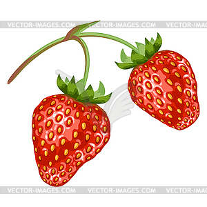 Stylized strawberry. Image for design or decoration - vector clip art