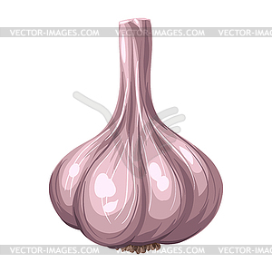 Stylized garlic. Image for design or decoration - vector clip art