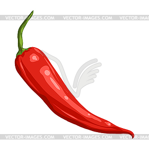 Stylized chili pepper. Image for design or - color vector clipart