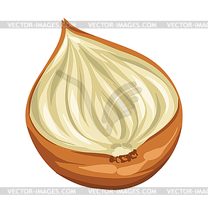 Stylized onion. Image for design or decoration - vector clip art