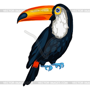 Stylized toucan. Image for design or decoration - vector clipart