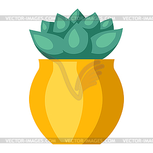 Stylized succulent in pot. Image for design or - vector clipart