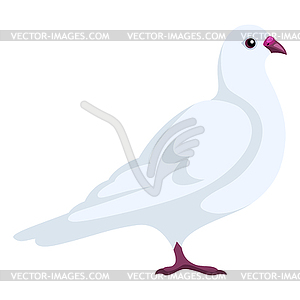 Stylized dove. Image for design or decoration - royalty-free vector clipart