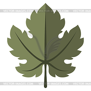 Stylized grapes leaf. Image for design or decoration - vector clip art